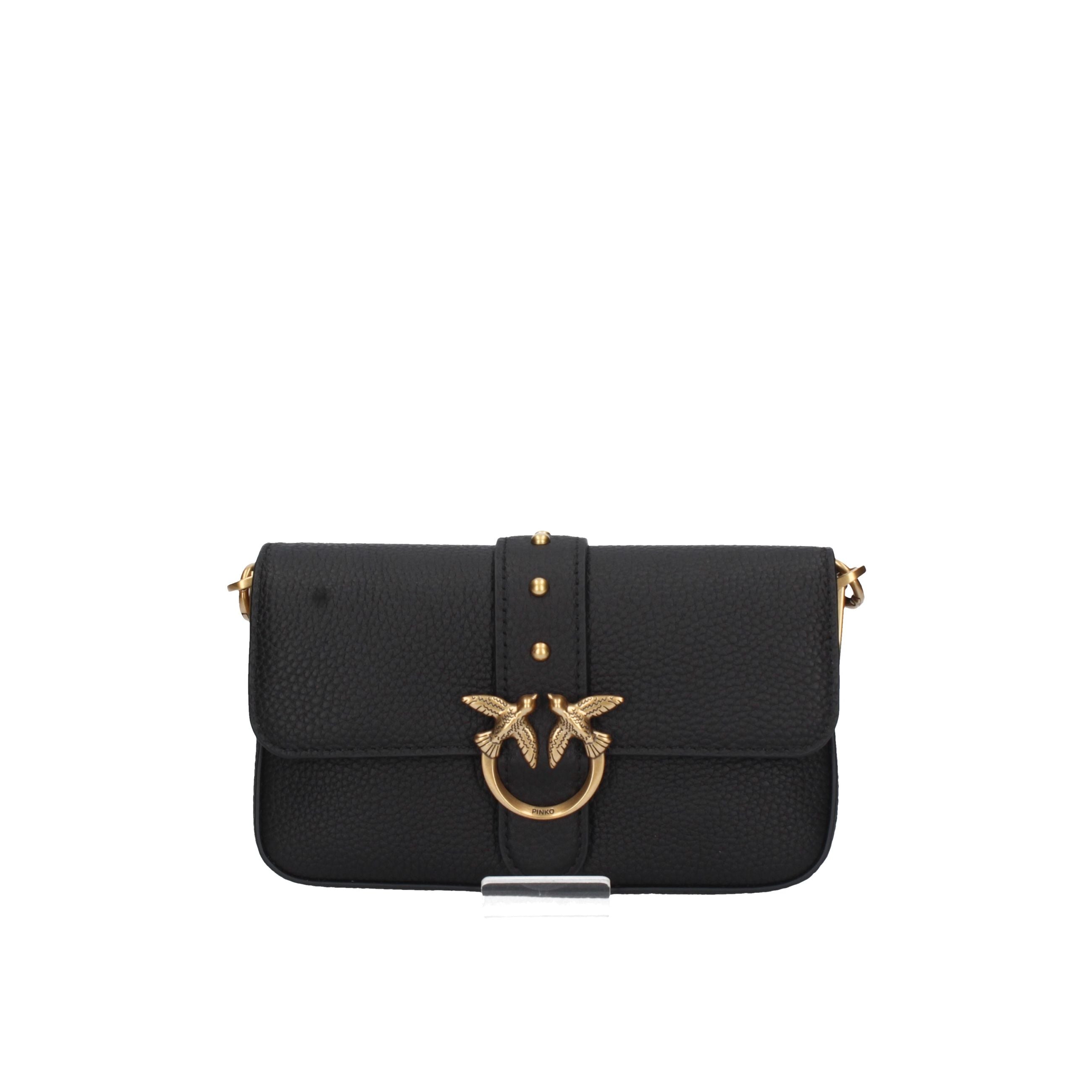 PINKO Piccola pelletteria 105353 A2OX NERO