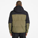 TIMBERLAND abbigliamento TB0A6267-AQ2 Verde