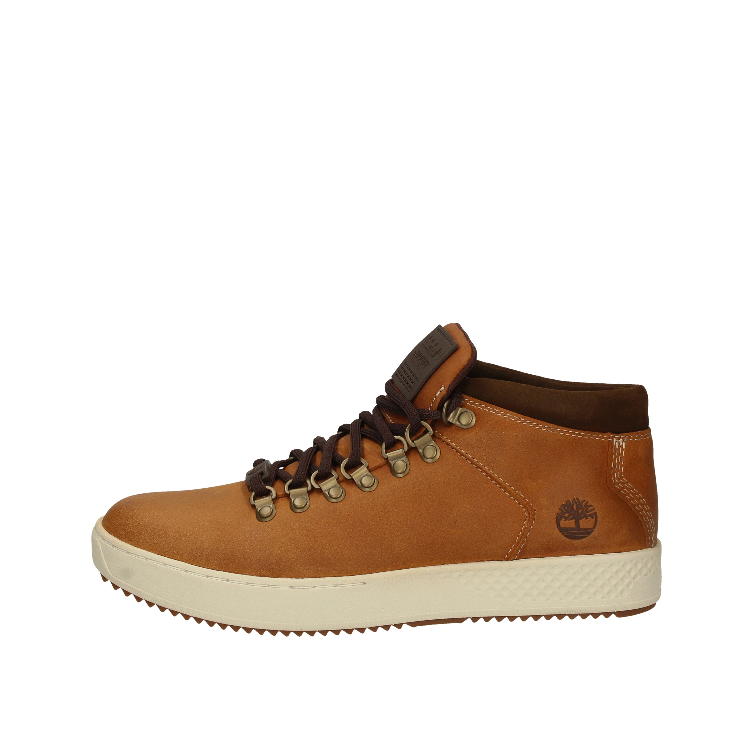 Timberland Ankle Boots CA1S6B