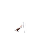 PIQUADRO PC6133S126 Leather