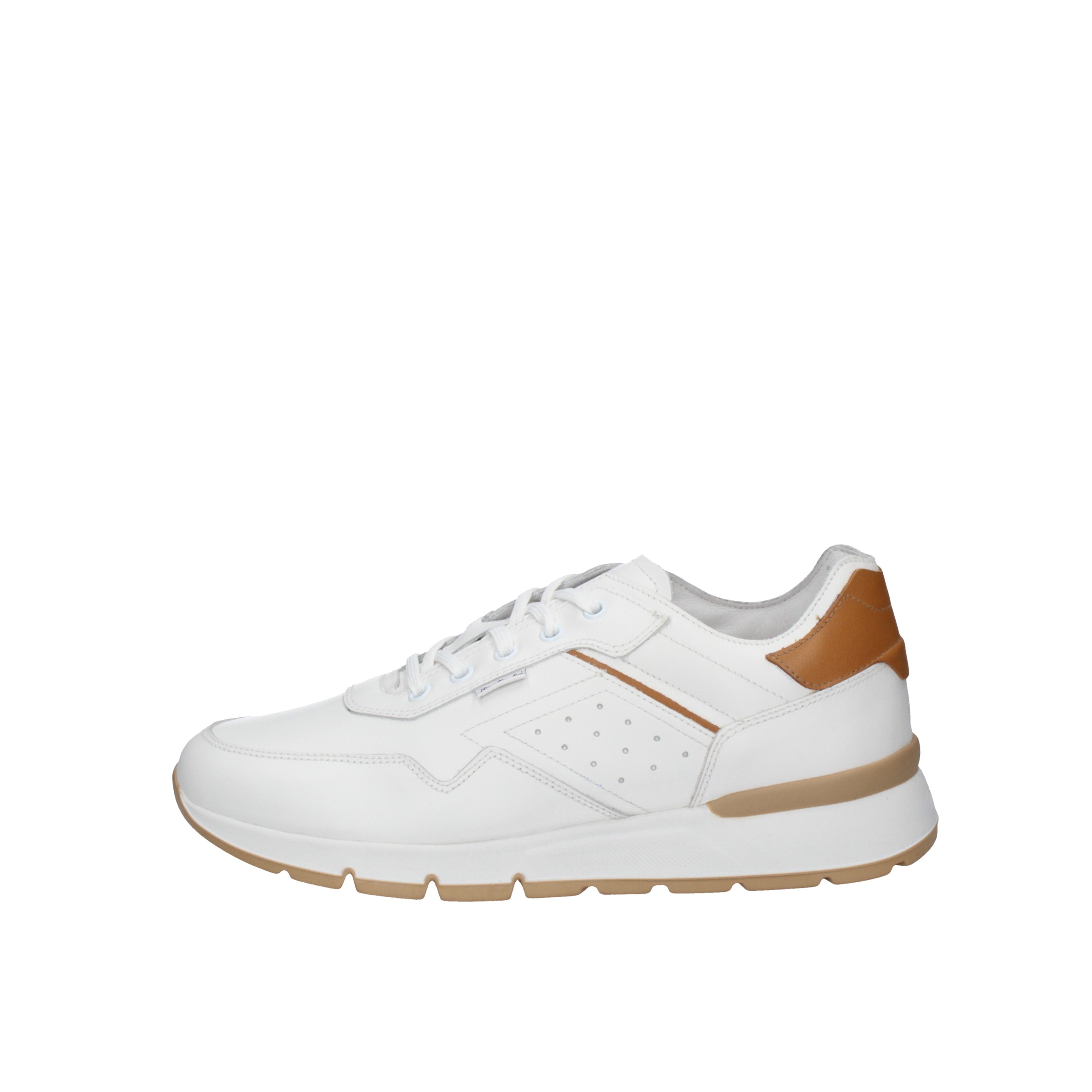 Nero giardini Sneakers E400192U