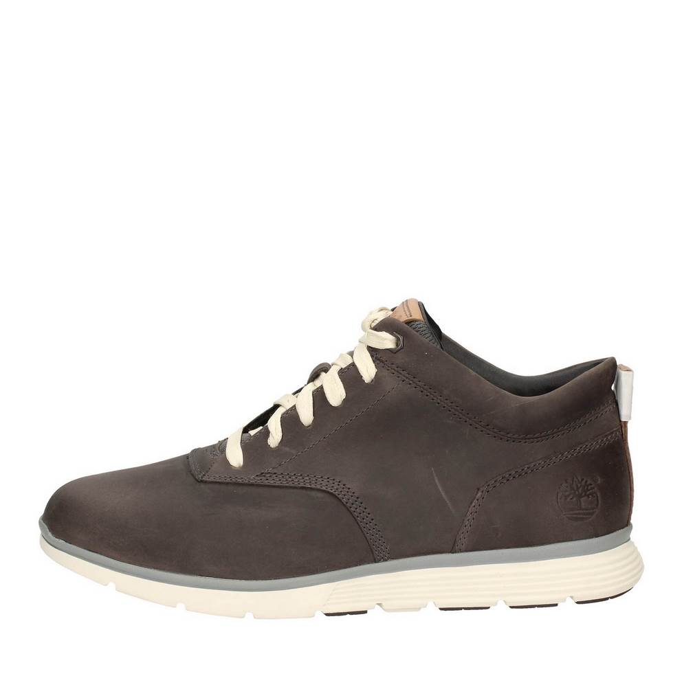 Timberland Polacchino CA1856